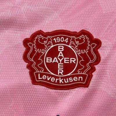 Bayer Leverkusen Jersey - 2025/2026 Away Fan Version - LEAKITS