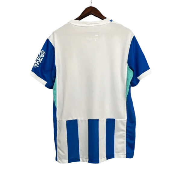 Brighton kit - 2025/2026 Home Fan Version - LEAKITS