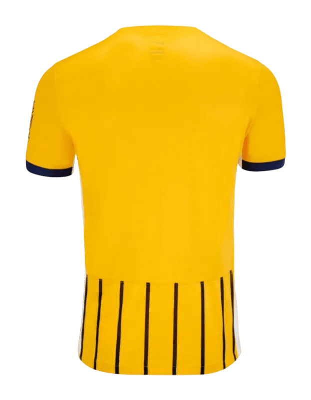 Brighton kit - 2025/2026 Third Fan Version - LEAKITS