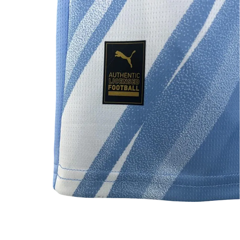 Man city jersey 25 26 fan version sky blue heritage diagonal stripe construction