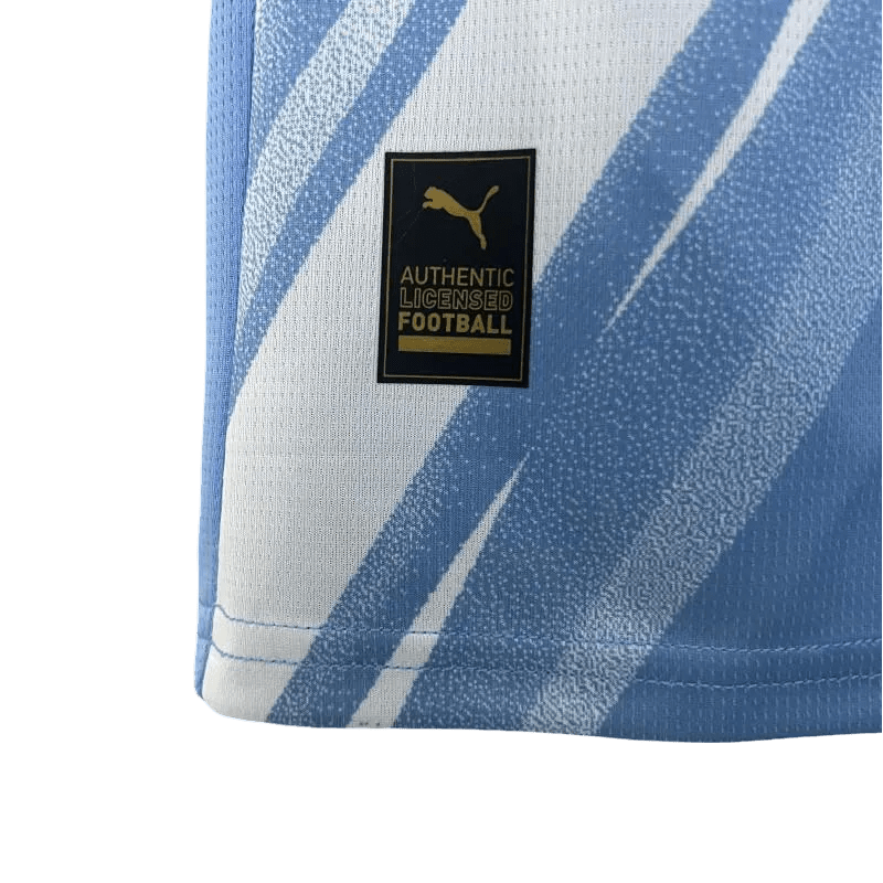 Manchester City jersey - 2025/2026 Home Fan Version - LEAKITS