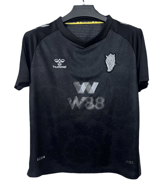 Sunderland Kit - 2025/2026 Blackcats Third Fan Version - LEAKITS