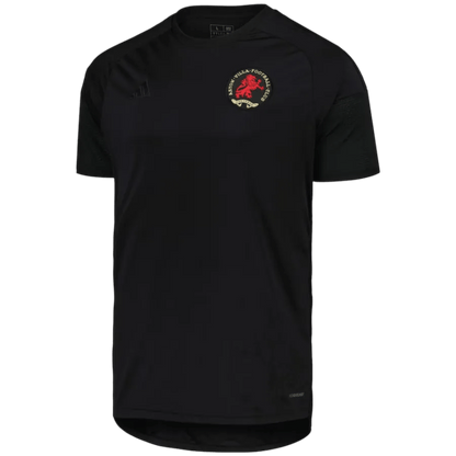 Aston villa 150 years kit anniversary limited edition commemorative black heritage LEAKITS Store