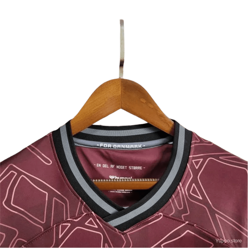 2024 Denmark Soccer Limited Edition Jersey - Fan Version - LEAKITS