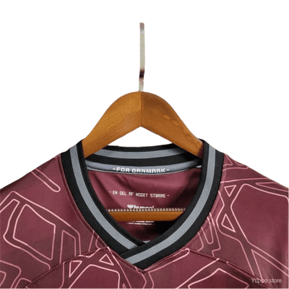 2024 Denmark Soccer Limited Edition Jersey - Fan Version - LEAKITS