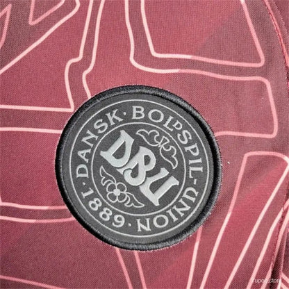 2024 Denmark Soccer Limited Edition Jersey - Fan Version - LEAKITS