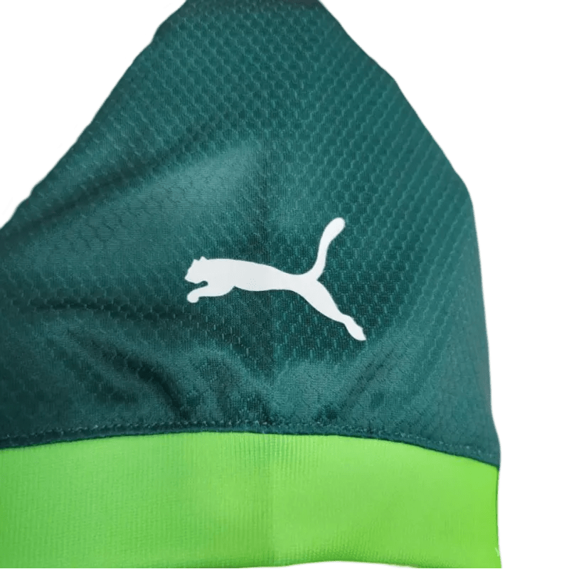 23/24 Palmeiras Home kit - Fan version | GoatGears Store - LEAKITS