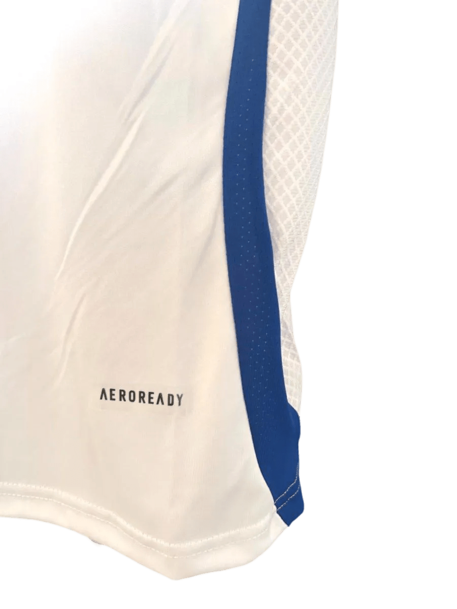 2024/2025 Olympique Lyonnais Lyon Home kit - Fan version - GoatGears Store - LEAKITS