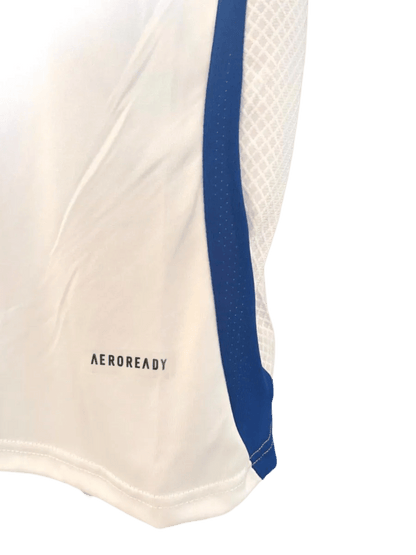 2024/2025 Olympique Lyonnais Lyon Home kit - Fan version - GoatGears Store - LEAKITS