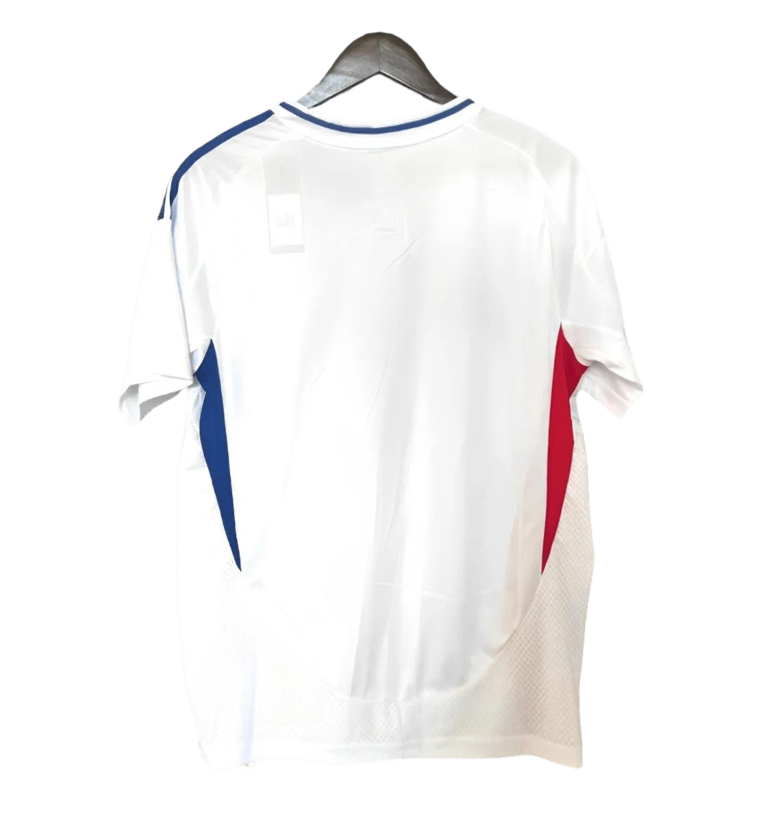 2024/2025 Olympique Lyonnais Lyon Home kit - Fan version - GoatGears Store - LEAKITS
