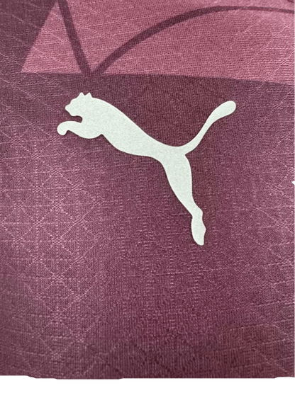2024/2025 Sky Blues Third kit - Player version - GOATGEARS Store - LEAKITS