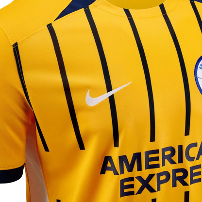 Brighton kit - 2025/2026 Third Fan Version