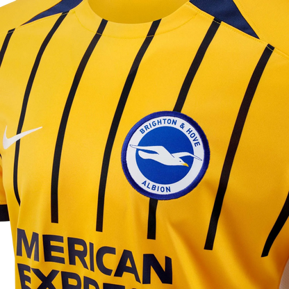 Brighton kit - 2025/2026 Third Fan Version
