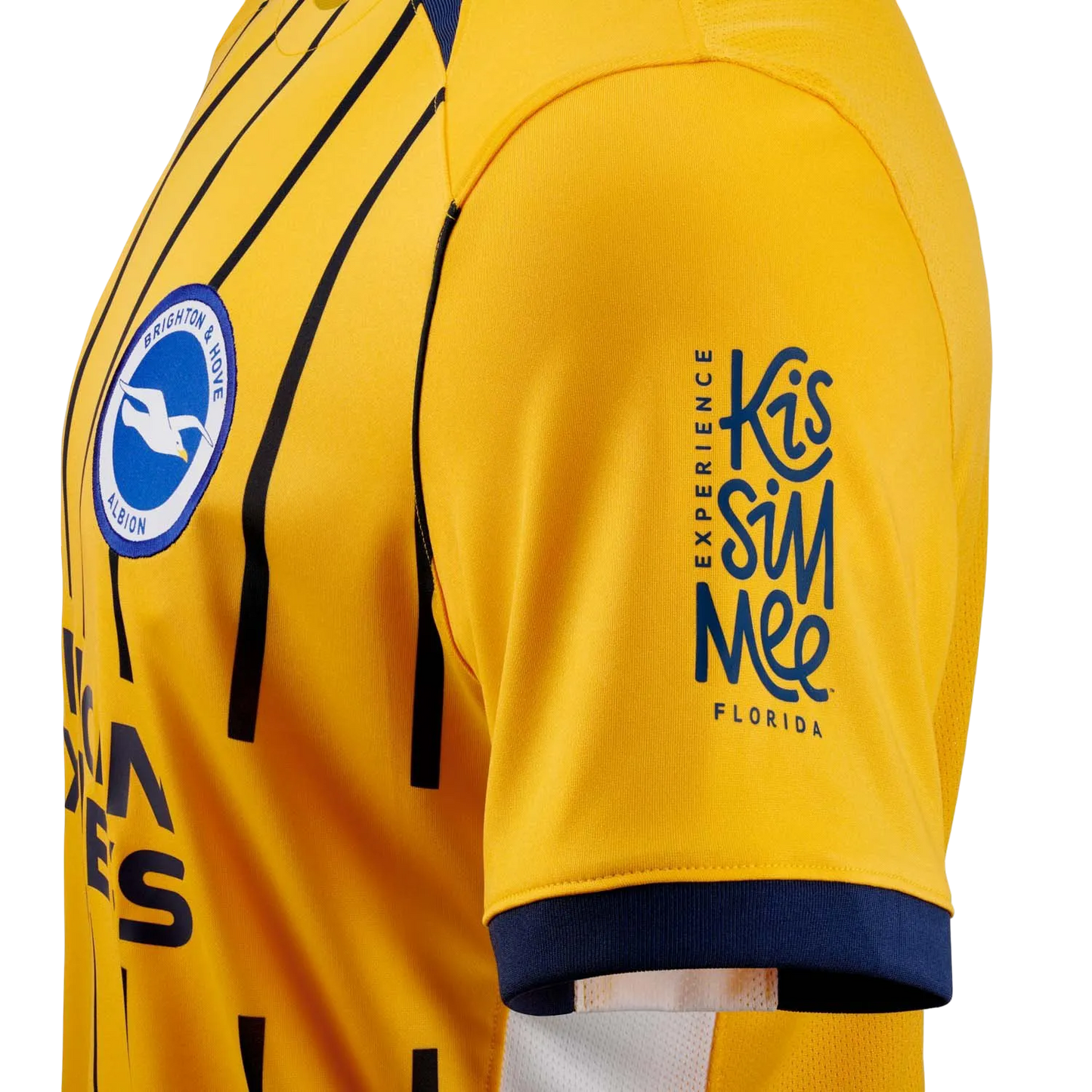 Brighton kit - 2025/2026 Third Fan Version
