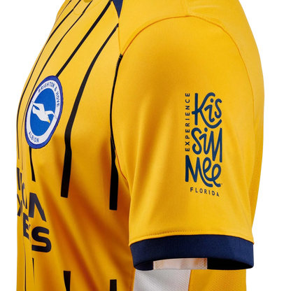 Brighton kit - 2025/2026 Third Fan Version