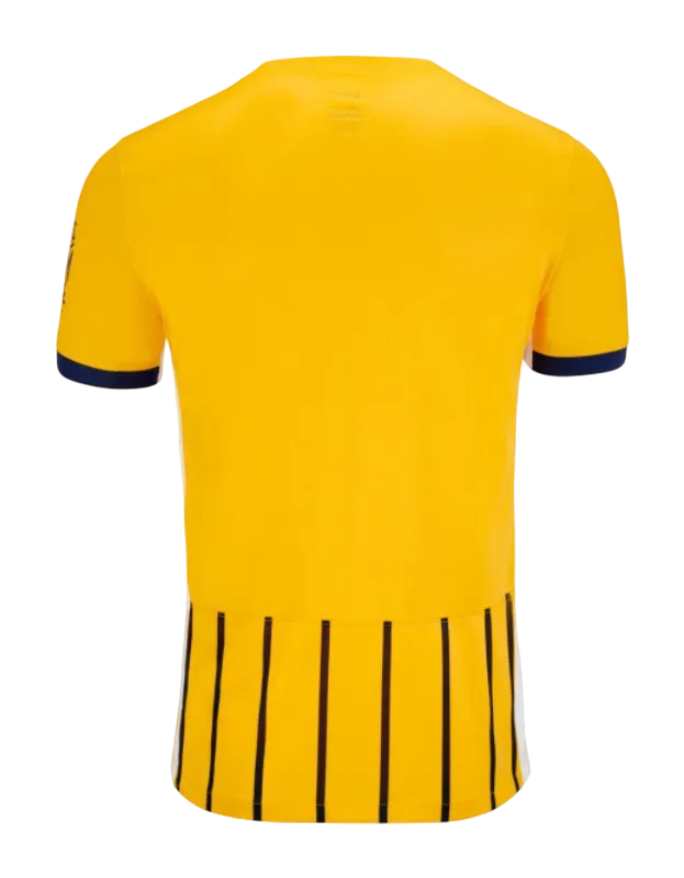 Brighton kit - 2025/2026 Third Fan Version