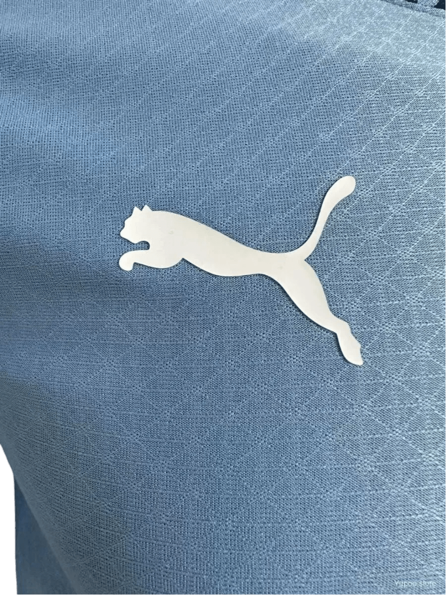2024/2025 Sky Blues Home kit - Player version - GOATGEARS Store - LEAKITS